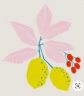carte colorate limoni.jpg