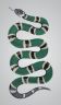 carte colorate serpente.jpg