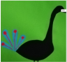 pavone.png