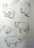 SECONDE_ANIMALI_SEMPLICI.jpg