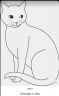 Screenshot_20211104-191611_Pinterest.jpg