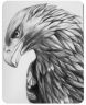 aquila.jpg