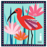 carta ibis.png