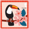 carta tucano.png