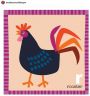 classe seconda- carte colorate-gallo.jpg