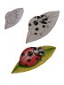 coccinella.jpg