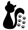 gatto-orme.jpg