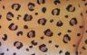 texture leopardo.jpg