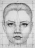 face_proportions.jpg