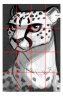 felino bianco e nero schema.png