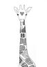 giraffa.jpg