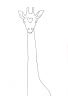 giraffa1.jpg