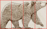 orso righe verticali.png