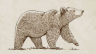 orso.png