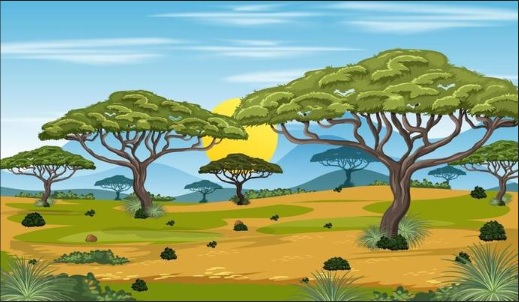 savana